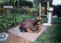 Snapping Turtle